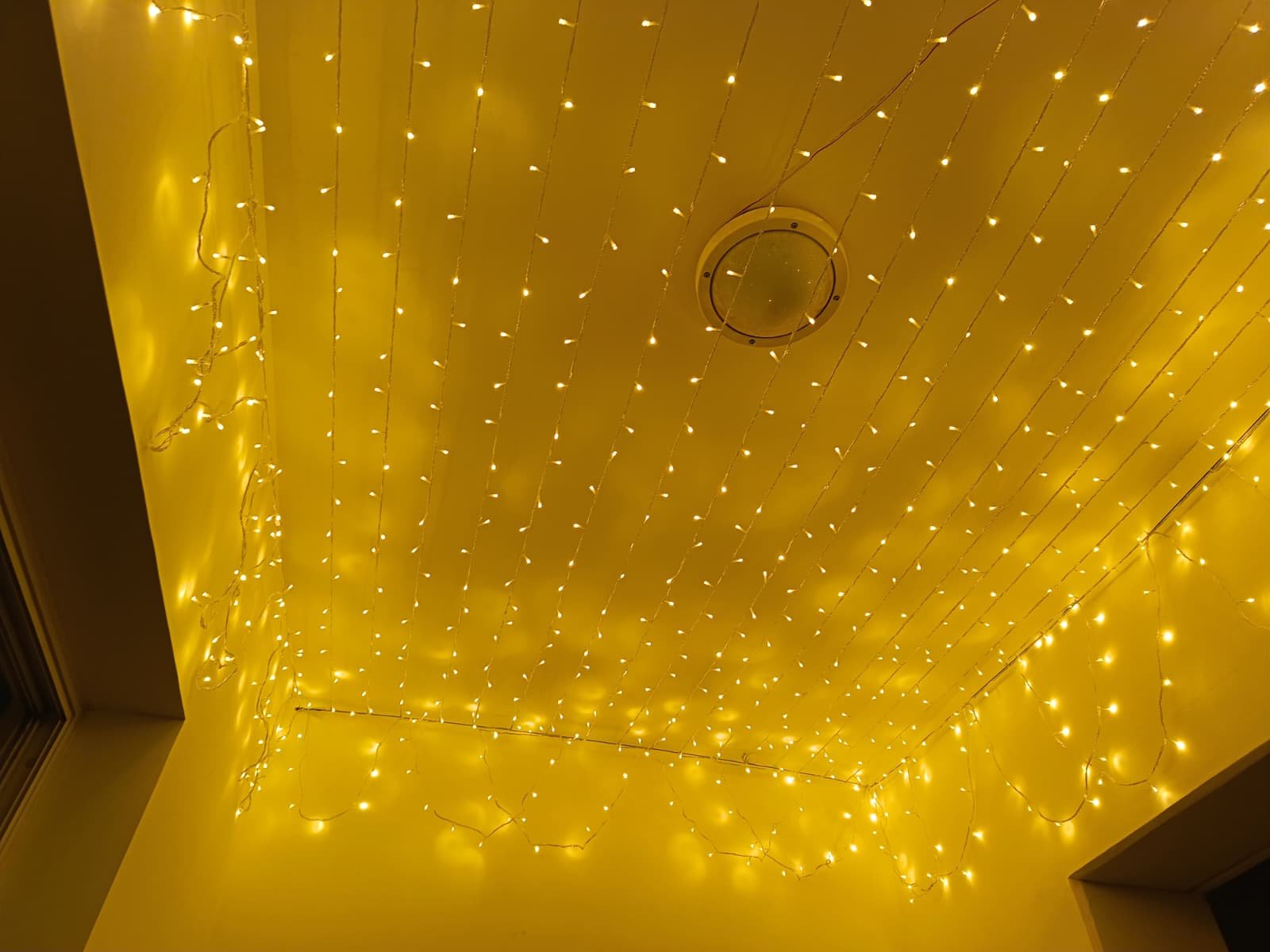 Home professional wedding fairy light ceiling décor in qatar featuring evenly spaced warm led string lights for a romantic ambiance.